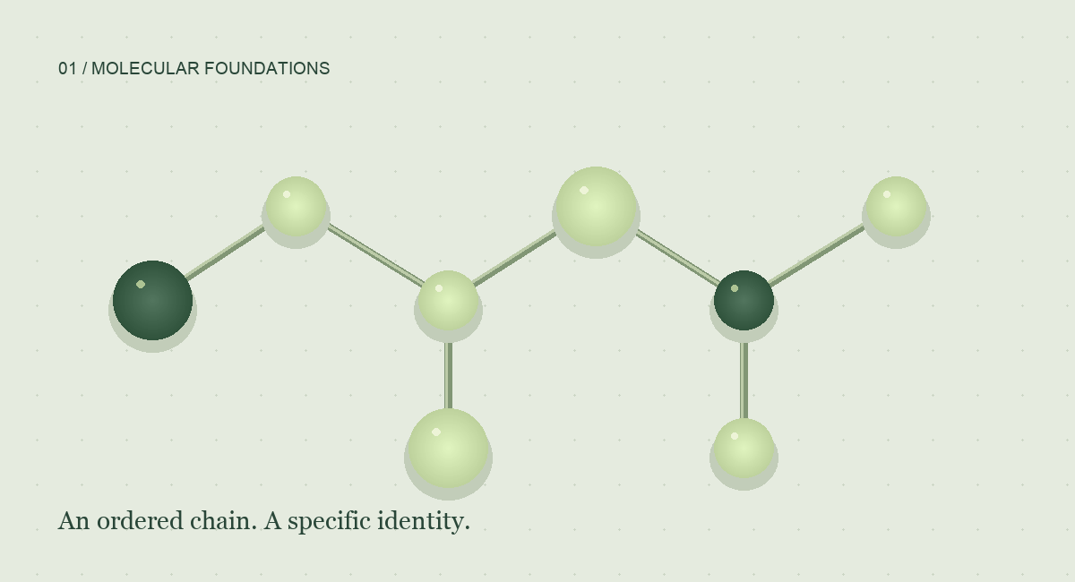 Schematic connected nodes representing a peptide chain; not a specific molecular structure
